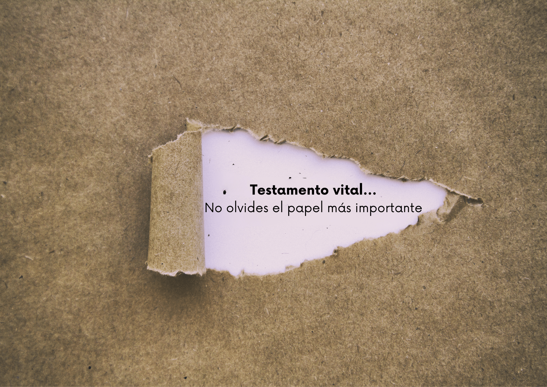 Testamento vital, cáncer hematológico, Asotrame, Galicia, lecemia, linfoma, mieloma,