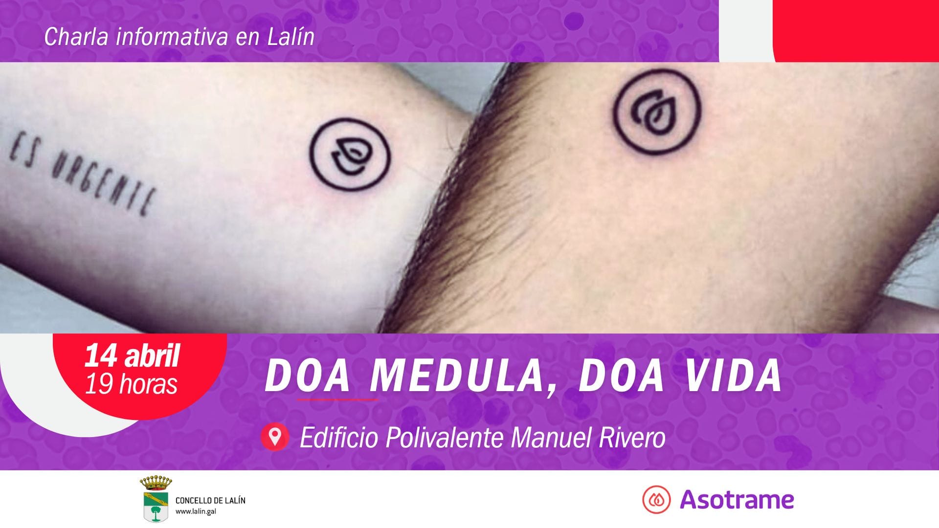 Cartel da charla informativa sobre doazón de medula ósea en Lalín.