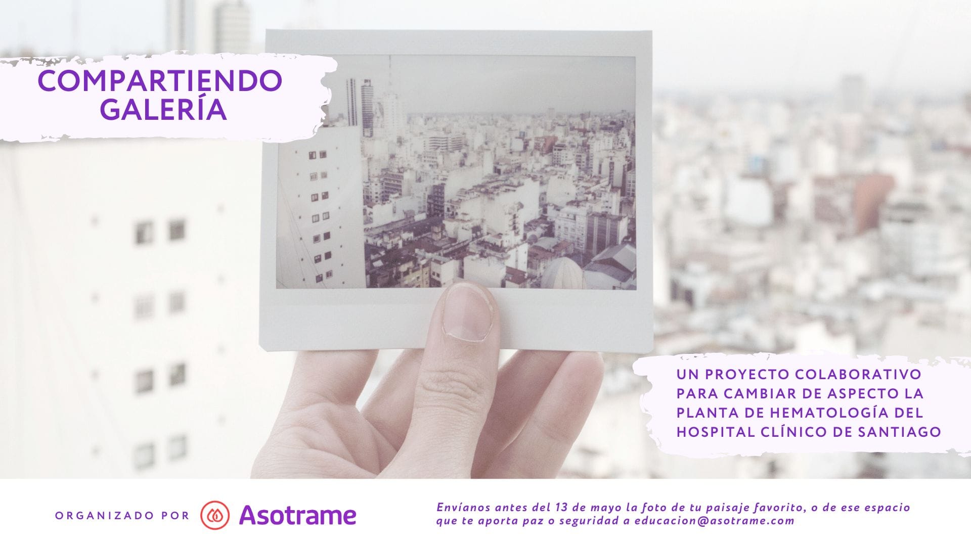 compartiendo galería