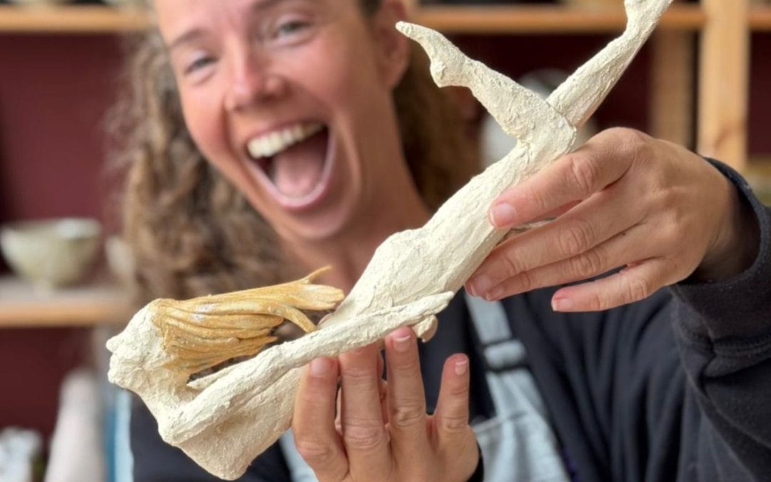 La Barroteka organiza este sábado en Ferrol un Market Solidario, a beneficio de Asotrame