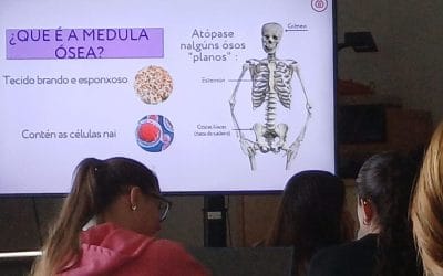 ¿Cuántos trasplantes de médula se hicieron en 2025?