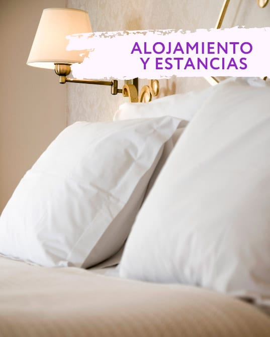 Alojamientos y estancias